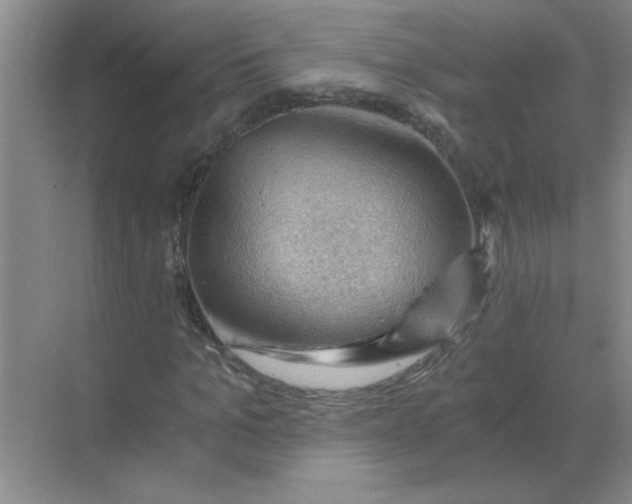X0000068900965200605192156