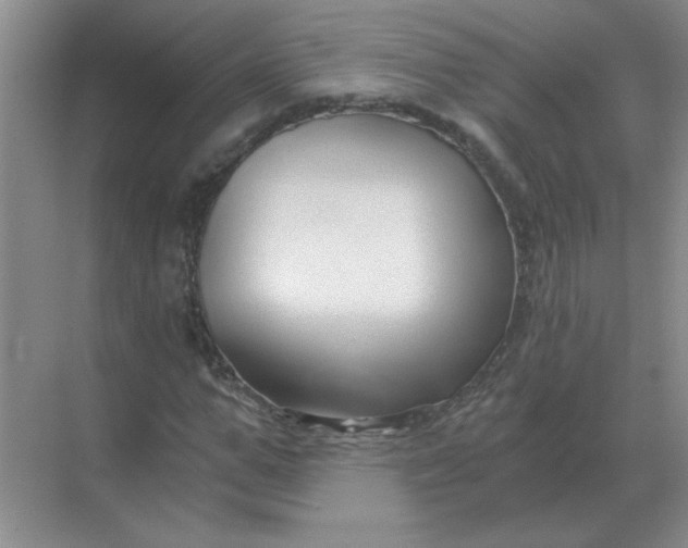 X0000068900967200605192156