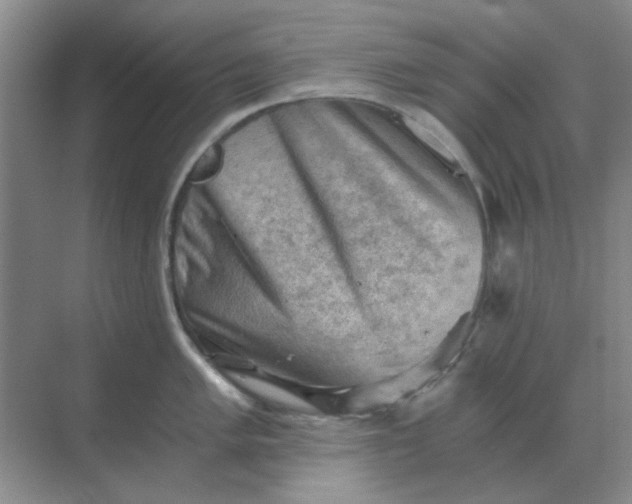 X0000068901005200605192156