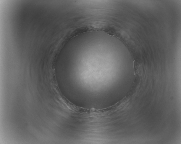 X0000068901009200605192155