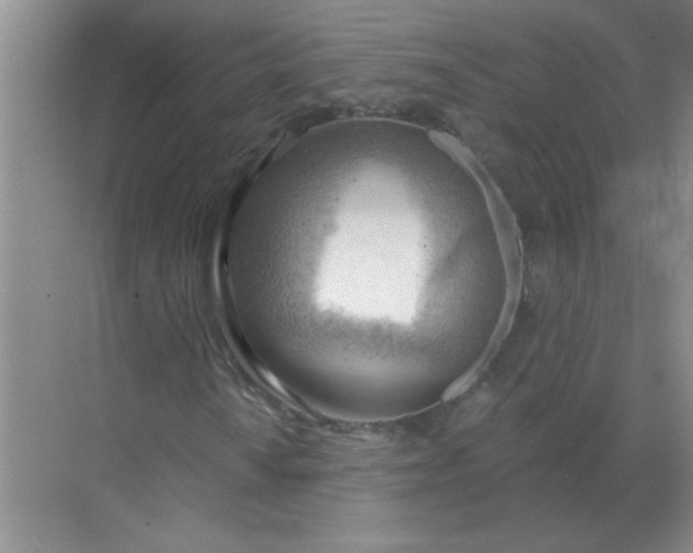 X0000068901010200605192155