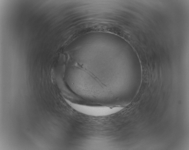 X0000068901013200605192155