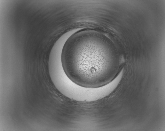 X0000068901014200605192155