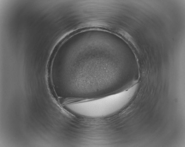 X0000068901024200605192155
