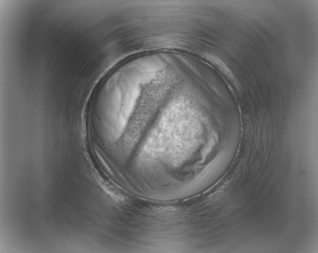 X0000068901031200605192155