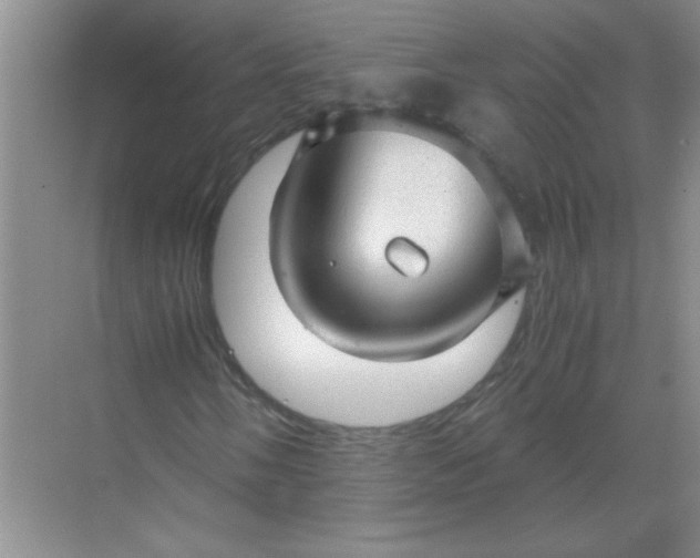 X0000068901058200605192155