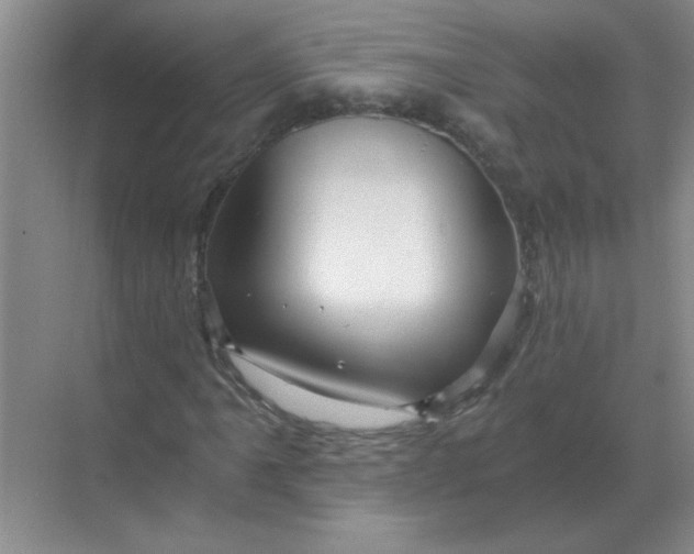 X0000068901061200605192155