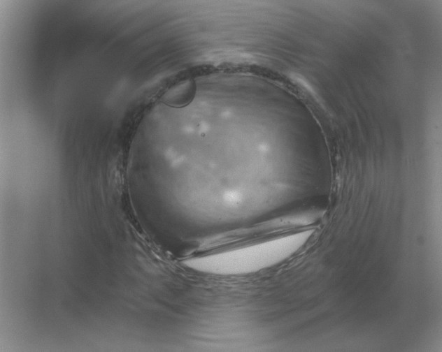 X0000068901063200605192155