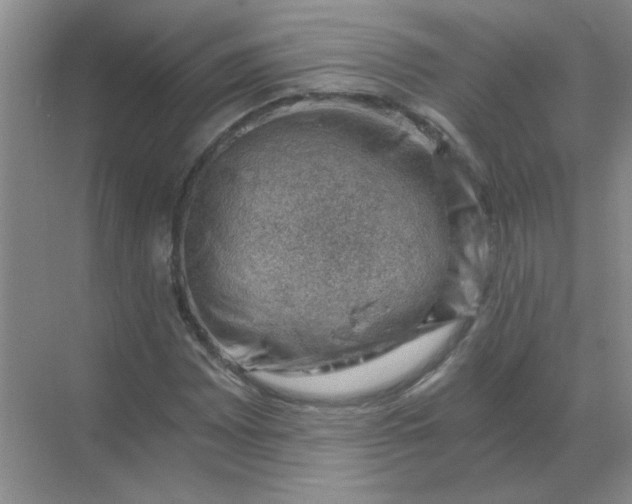 X0000068901065200605192155