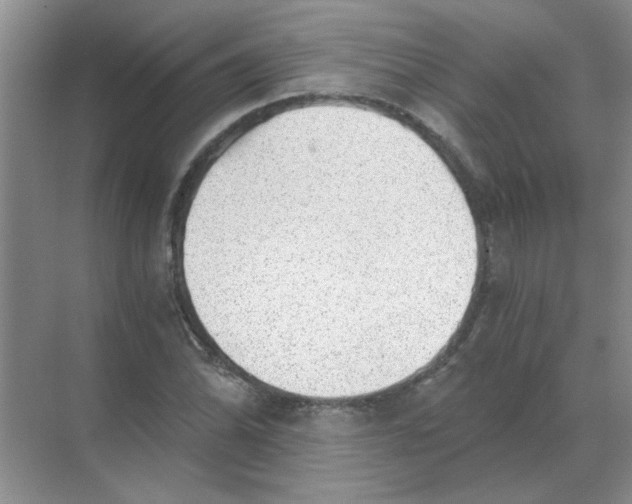 X0000068901070200605192155