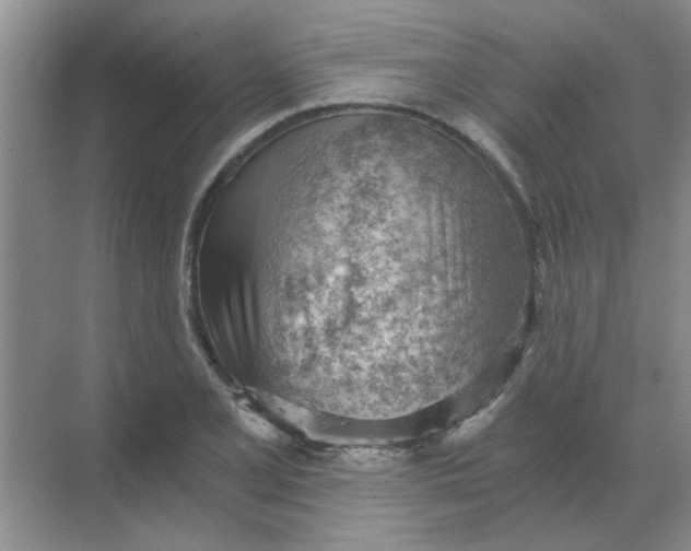 X0000068901077200605192155