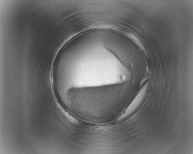 X0000068901084200605192154