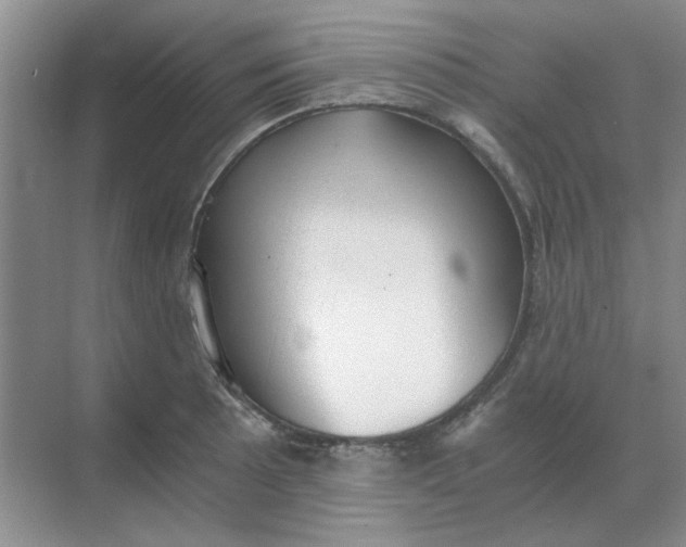 X0000068901089200605192154