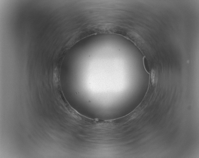 X0000068901107200605192153