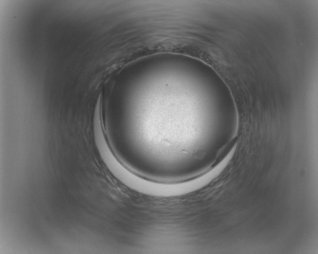 X0000068901109200605192153