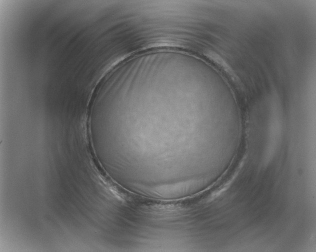 X0000068901121200605192154