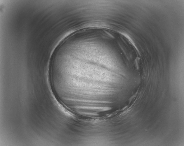 X0000068901139200605192154