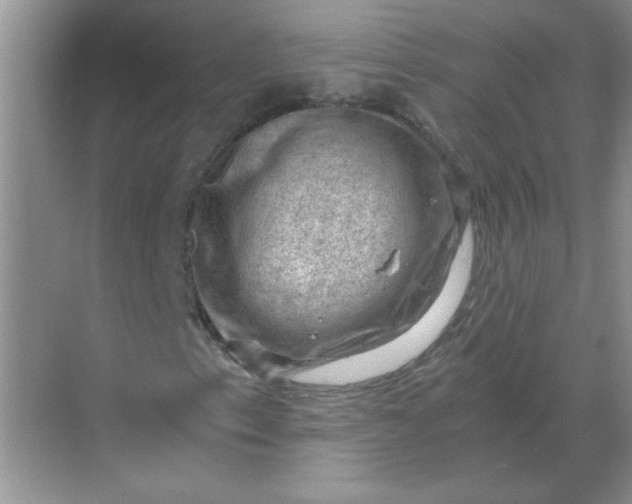 X0000068901153200605192153