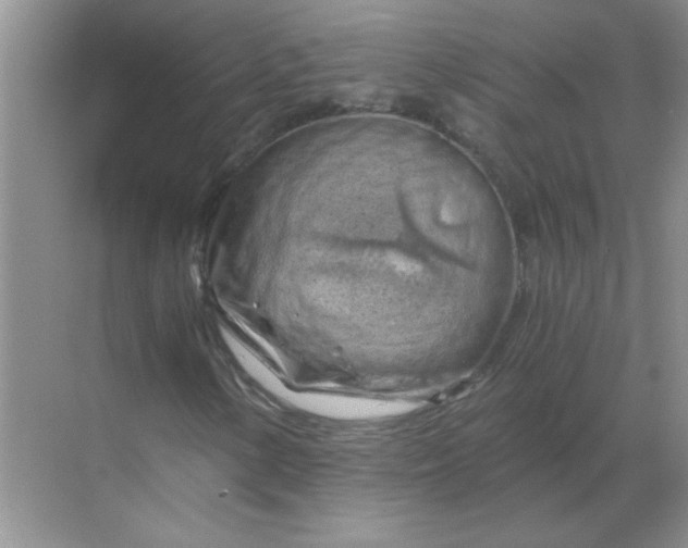 X0000068901154200605192153