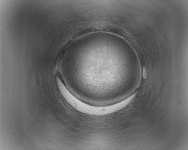 X0000068901155200605192153