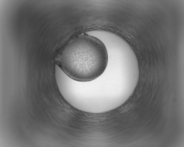 X0000068901156200605192153