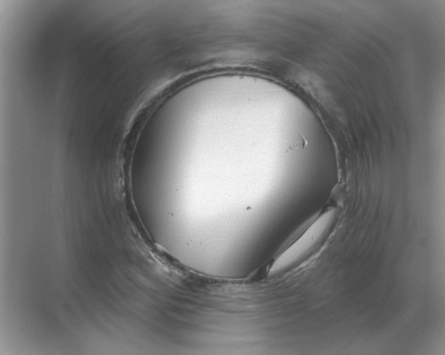 X0000068901164200605192153