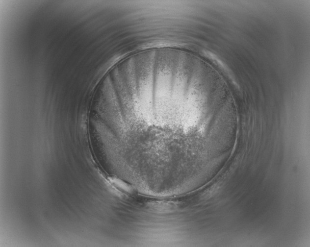 X0000068901185200605192153