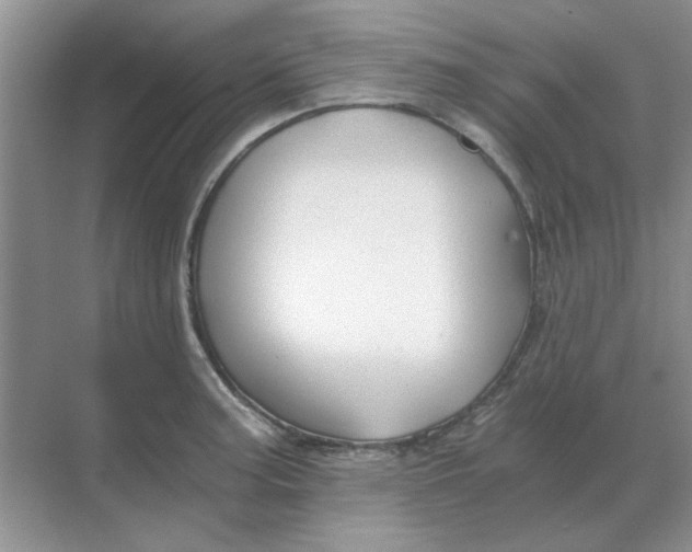 X0000068901187200605192153