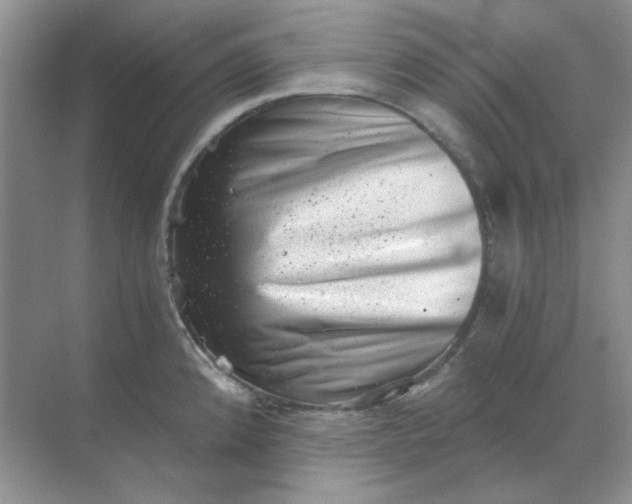 X0000068901192200605192153