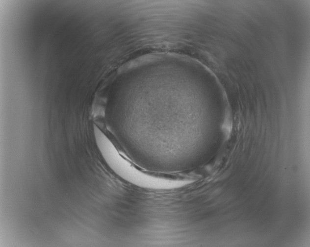 X0000068901202200605192152