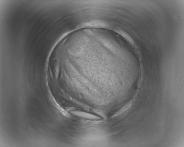 X0000068901248200605192153
