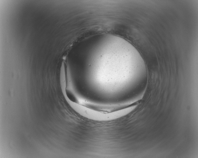 X0000068901250200605192152