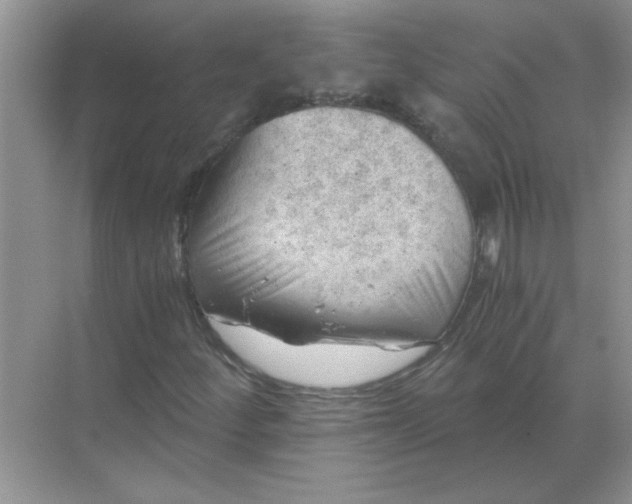 X0000068901252200605192152