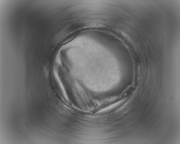 X0000068901257200605192152