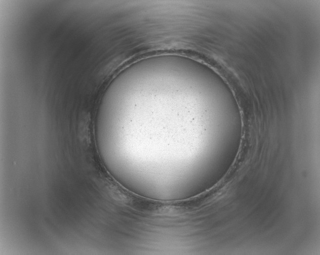 X0000068901265200605192151