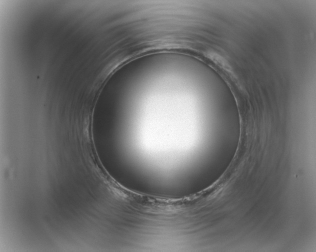 X0000068901273200605192151