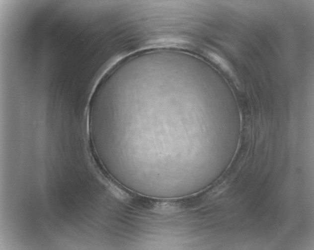X0000068901275200605192151