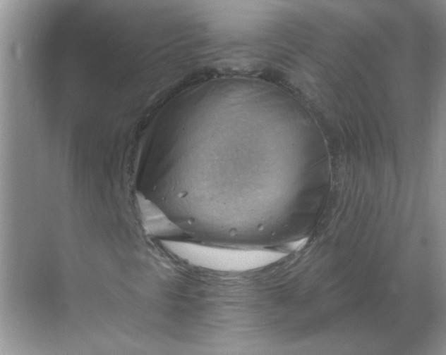 X0000068901297200605192150