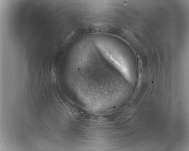 X0000068901298200605192150