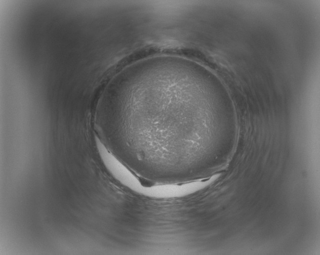 X0000068901301200605192150