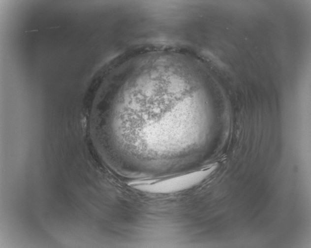 X0000068901302200605192150