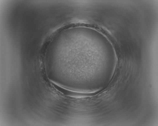 X0000068901303200605192150