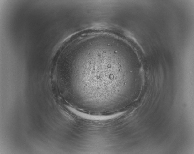 X0000068901304200605192150