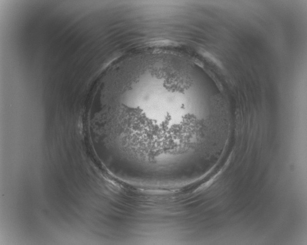 X0000068901305200605192150