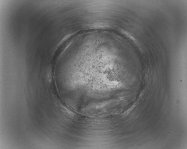 X0000068901306200605192150