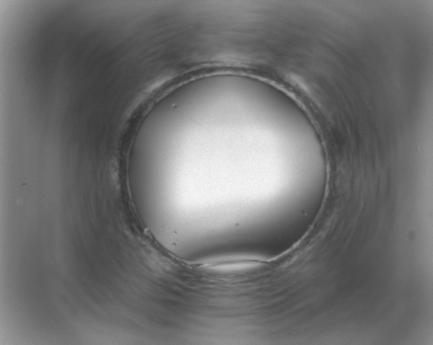 X0000068901307200605192150