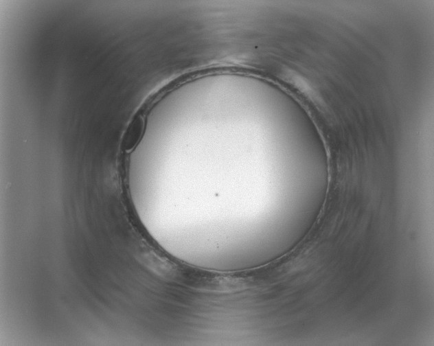 X0000068901308200605192150