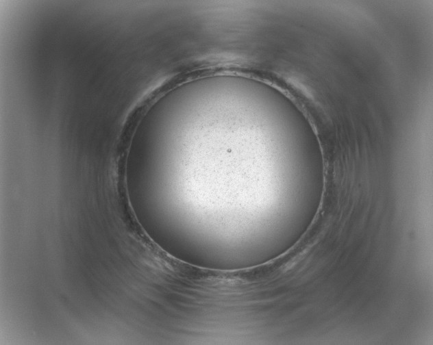 X0000068901309200605192150