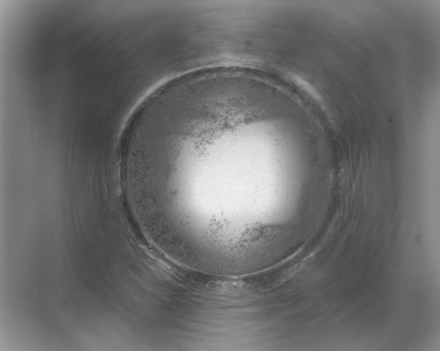 X0000068901310200605192150