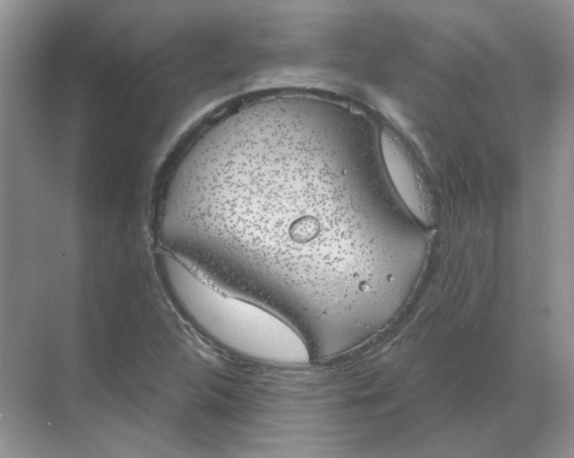 X0000068901312200605192150